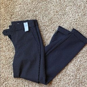 Women’s dress pants